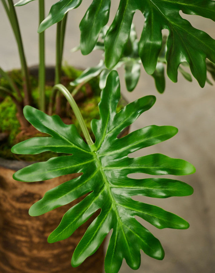 Philodendron Plant Green 115 Cm