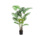 Philodendron Plant Green 130 Cm