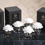 Illuminaria Porcelain Diffuser In Gray Bottle-laurel Magnolia 100 Ml