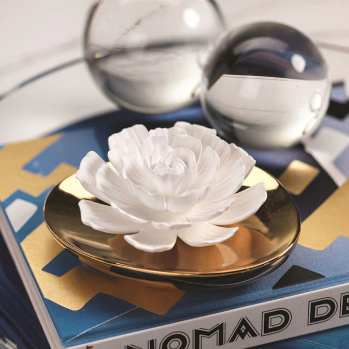 Dream Porcelain Flower Diffuser-moroccan Peony 100 Ml