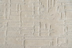 Tx-11651