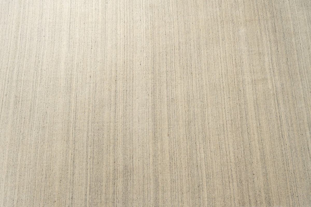 Camel Lines C1