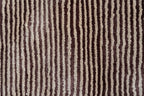 Flam 0028