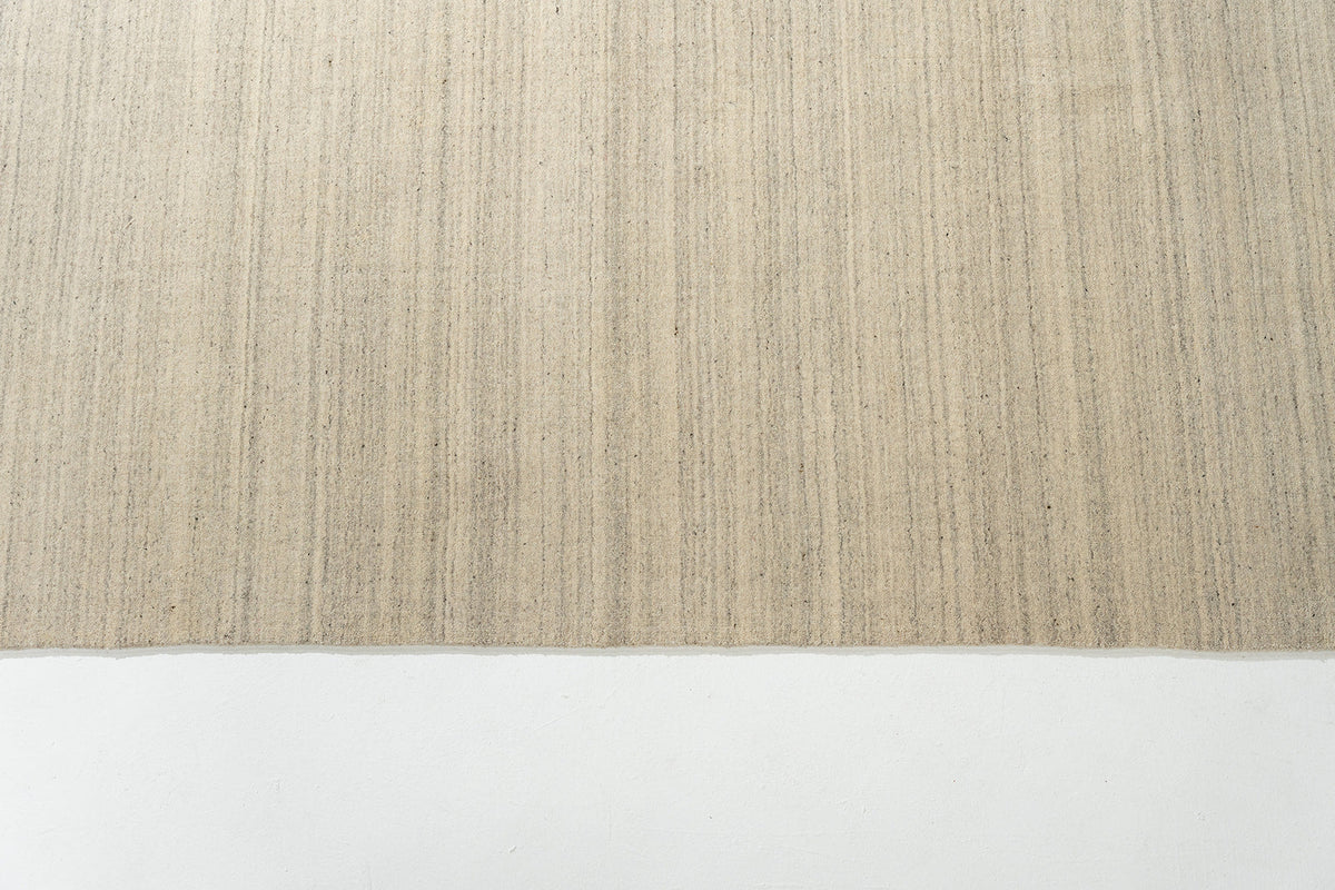 Camel Lines C1